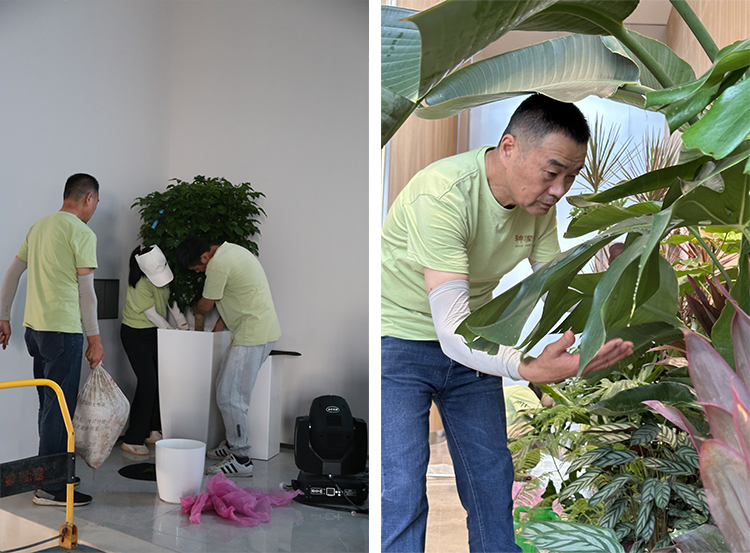 天香花苑完成海盐捷沃特汽车零部件公司植物租赁项目