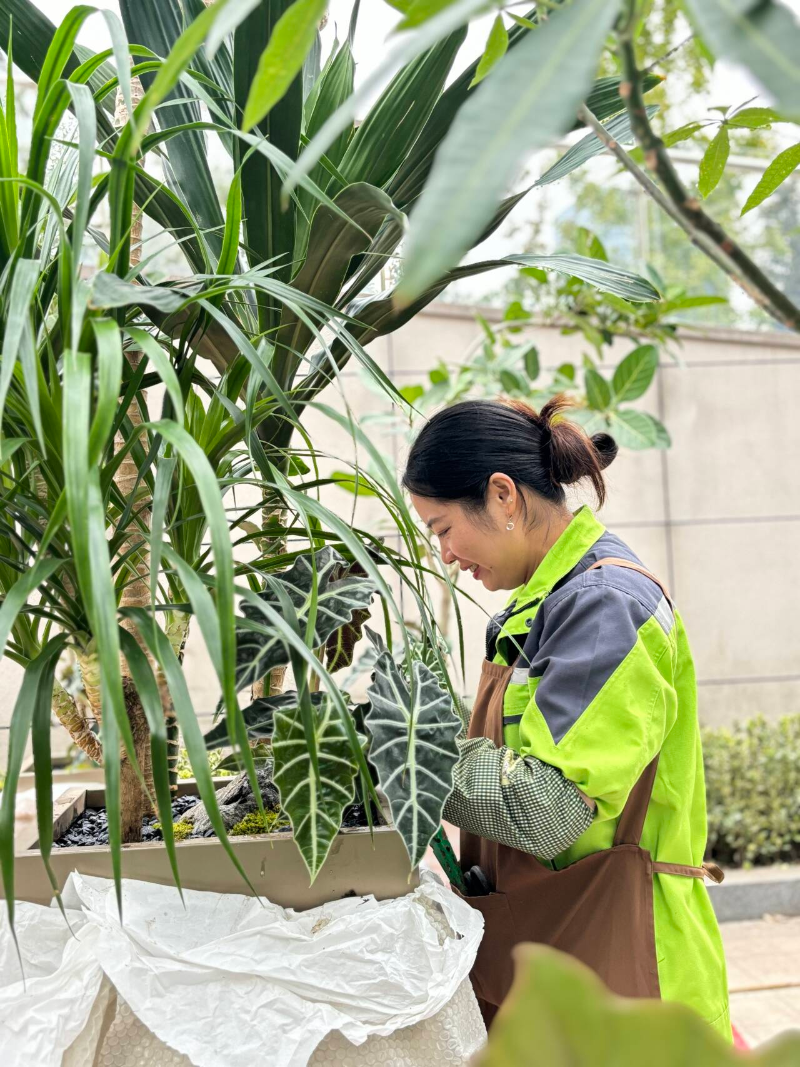 天香花苑