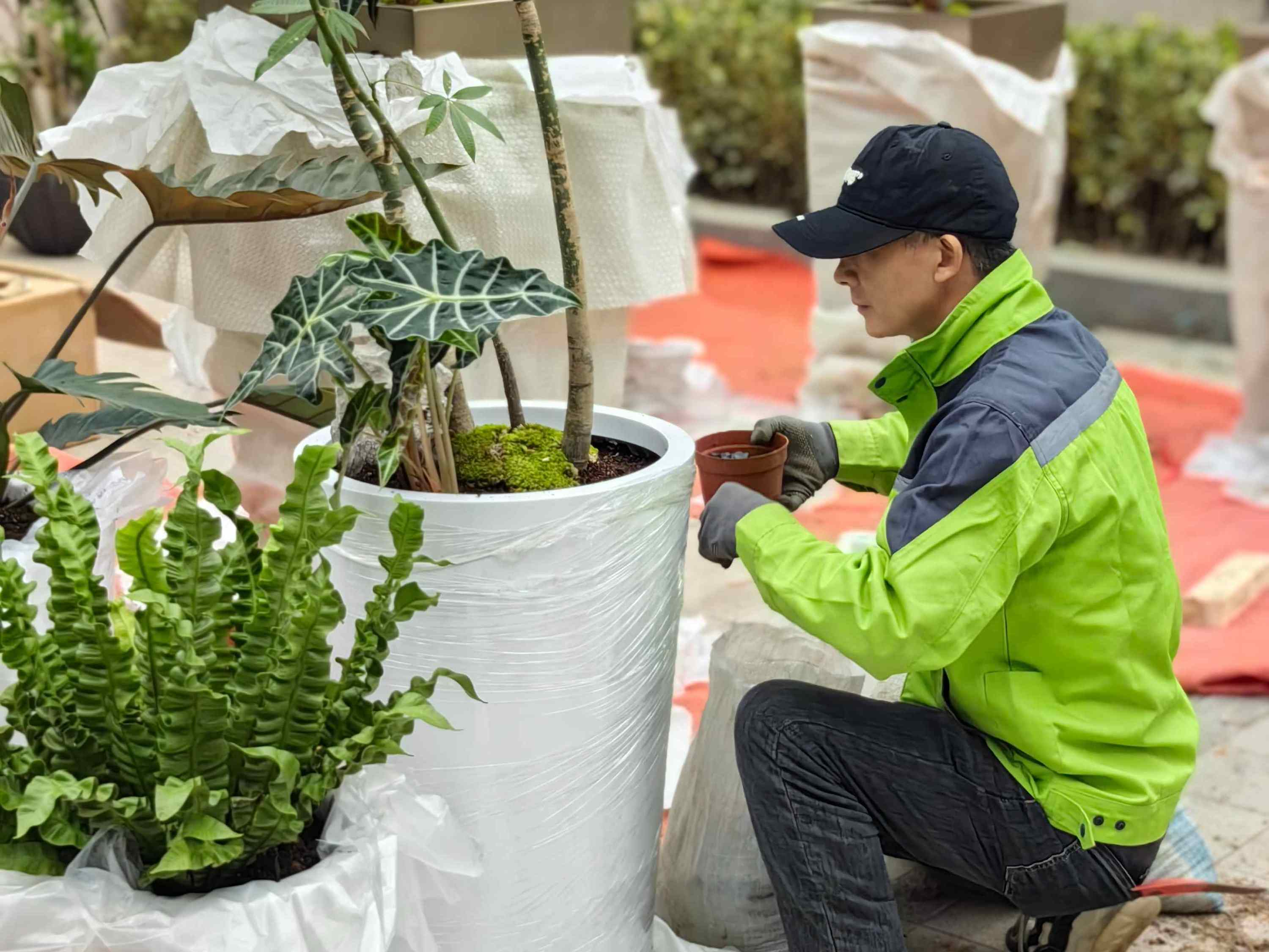 办公室选择绿植租摆的重要性