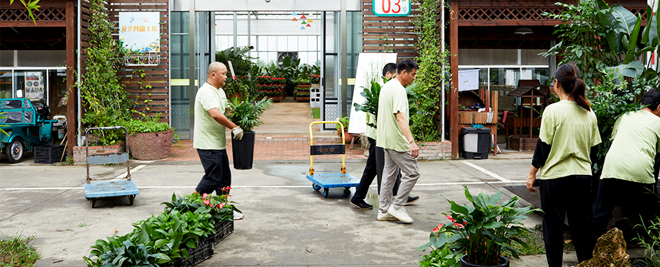 绿植搬运